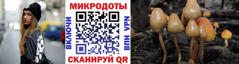 наркота  Злынка  Галлюциногенные грибы MAGIC MUSHROOMS 