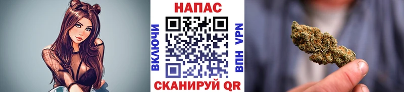 МАРИХУАНА план  Злынка 